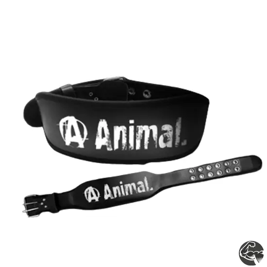 Cinturão Animal Fivela - Universal Nutrition